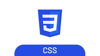 Css logo